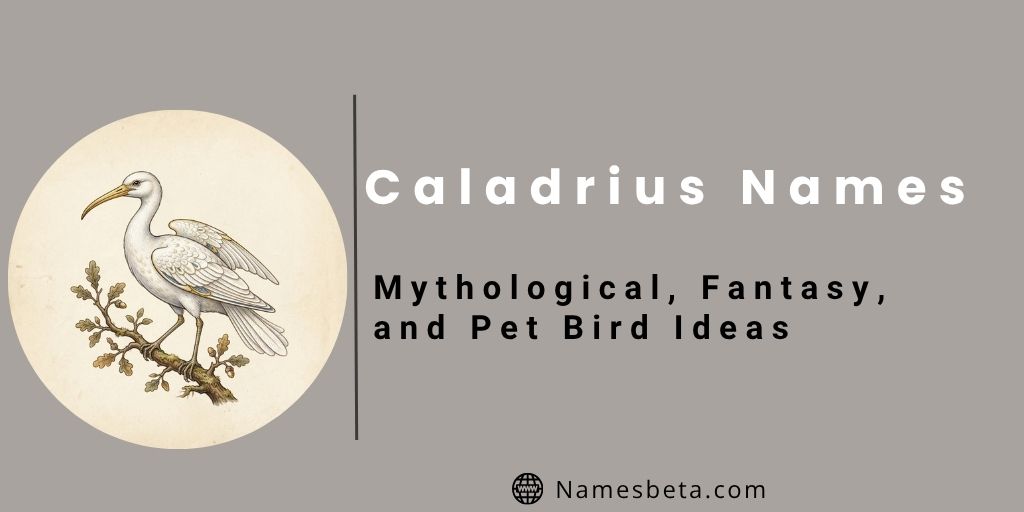 170+ Caladrius Names: Mythological, Fantasy, and Pet Bird Ideas