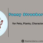 67+ Funny Strawberry Names for Pets, Plants, Characters, and Snacks