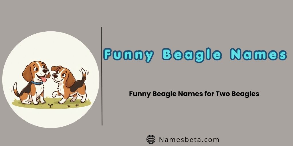 Funny Beagle Names for Two Beagles