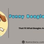 Funny Beagle Names That Fit What Beagles Actually Do