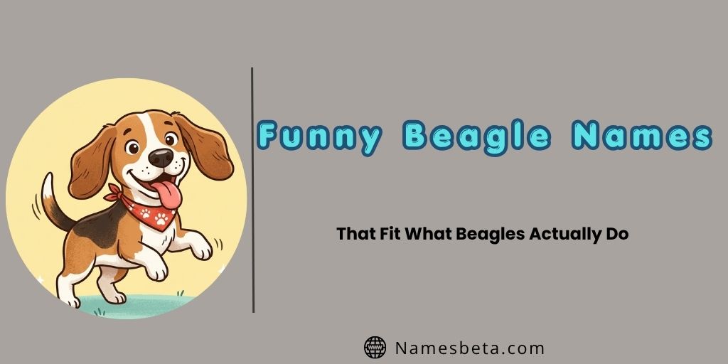 Funny Beagle Names That Fit What Beagles Actually Do