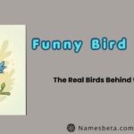 Funny Bird Names: The Real Birds Behind the Giggles