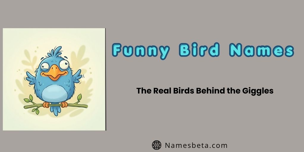 Funny Bird Names: The Real Birds Behind the Giggles
