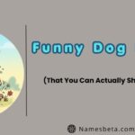Funny Dog Names (That You Can Actually Shout in Public)