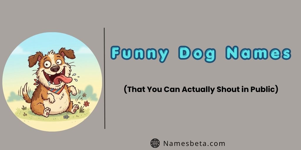 Funny Dog Names (That You Can Actually Shout in Public)