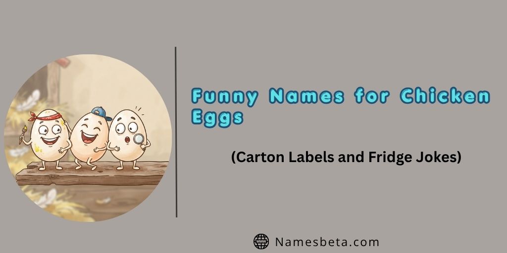 76+ Funny Names for Chicken Eggs (Carton Labels and Fridge Jokes)