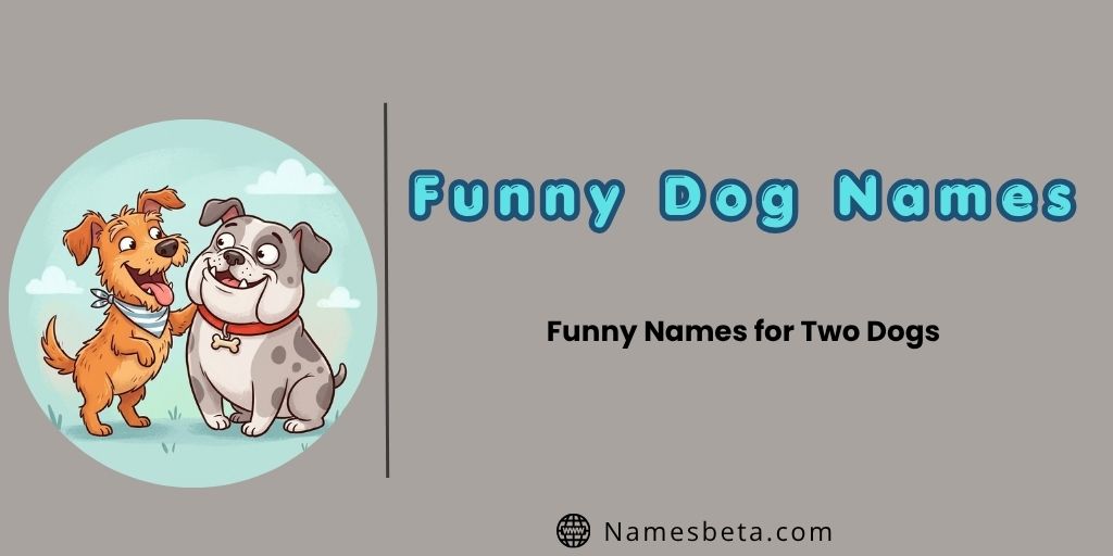 Funny Names for Two Dogs