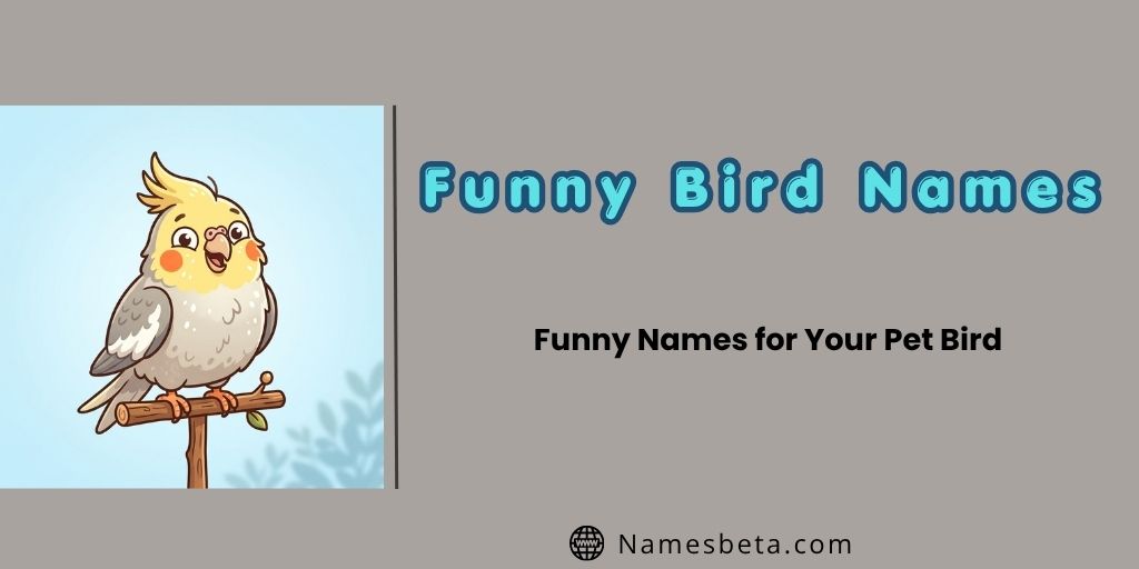 Funny Names for Your Pet Bird