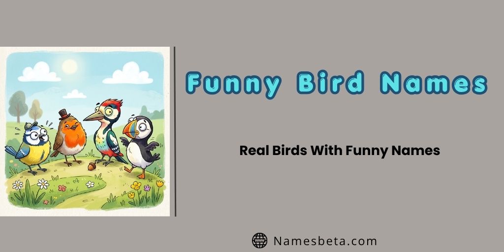 Real Birds With Funny Names